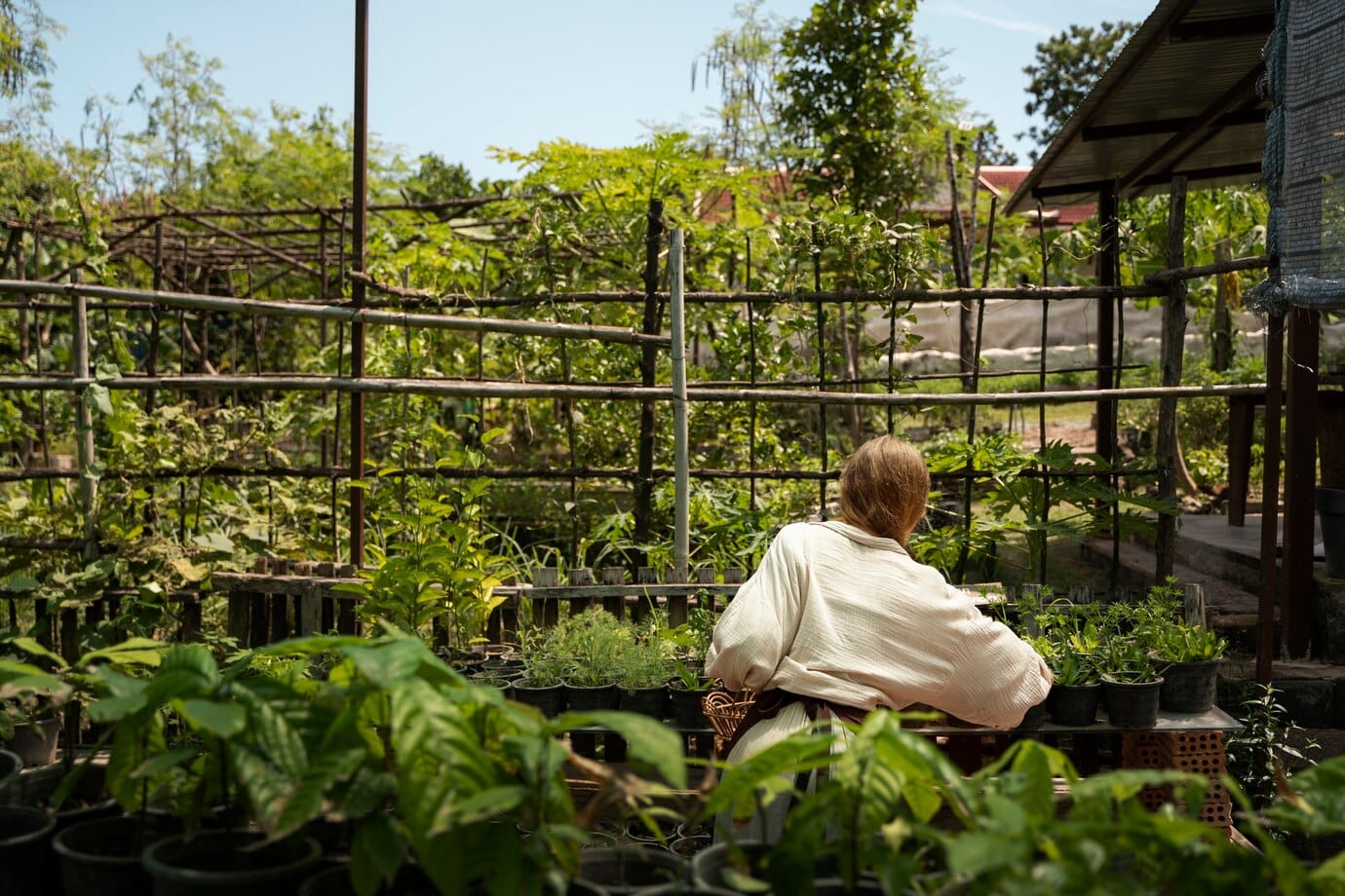 Manish-Patel-westchester-back-view-woman-checking-plants_23-2149456996