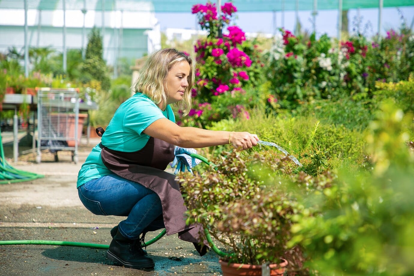 Manish-Patel-westchester-female-gardener-squatting-watering-pot-plants