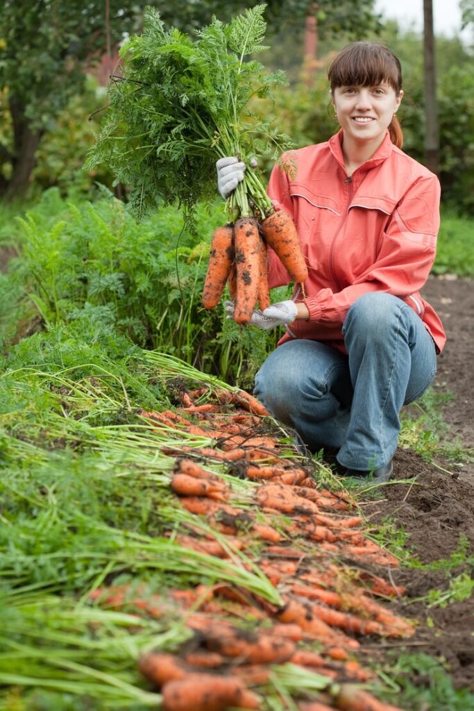 Manish-Patel-westchester-woman-with-carrot