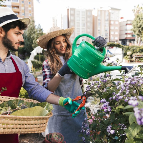 male-female-gardener-watering-trimming-flower-with-secateurs